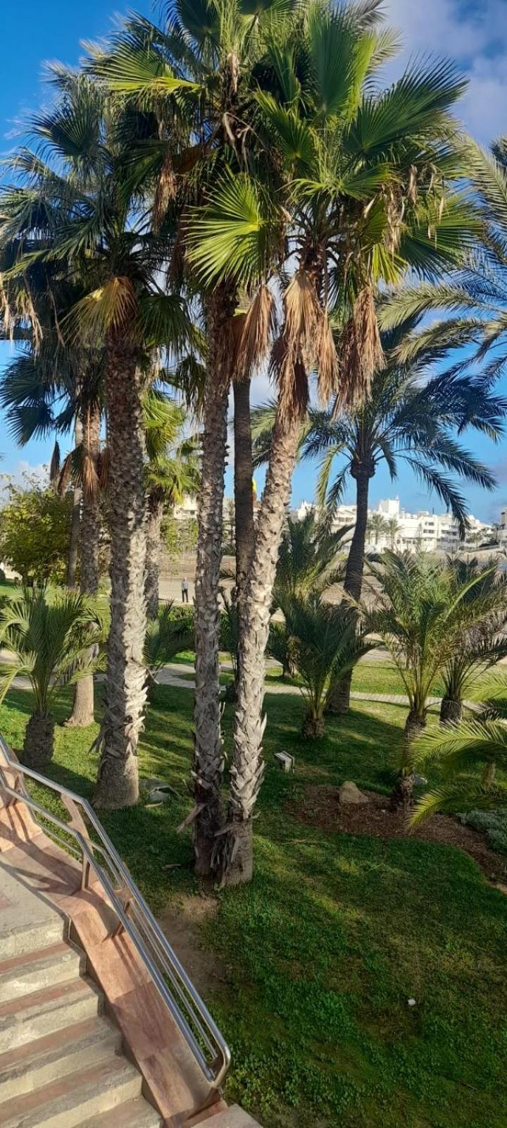 Apartamento Pepita Alay Benalmádena Eksteriør bilde